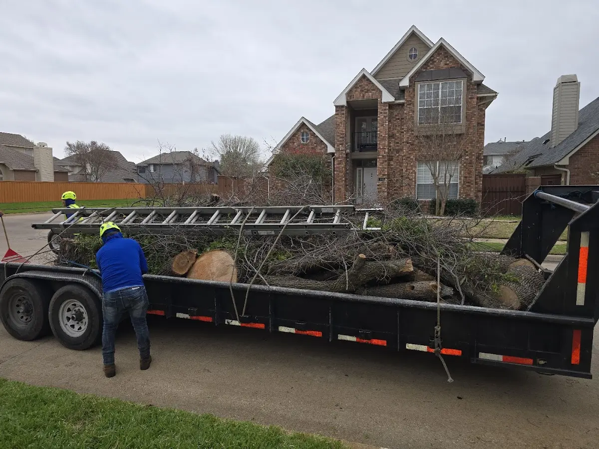 Expert Tree Removal with proper safety equipment in Greensburg